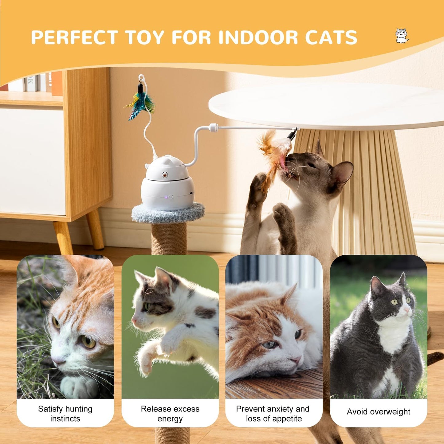 4-in-1 Rechargeable Interactive Cat Toy