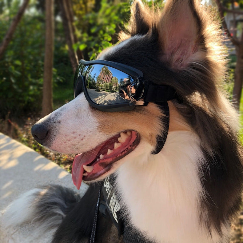 Pet Sunglasses Accessories