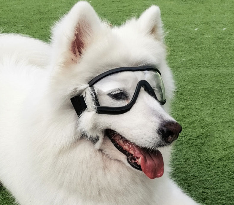 Pet Sunglasses Accessories