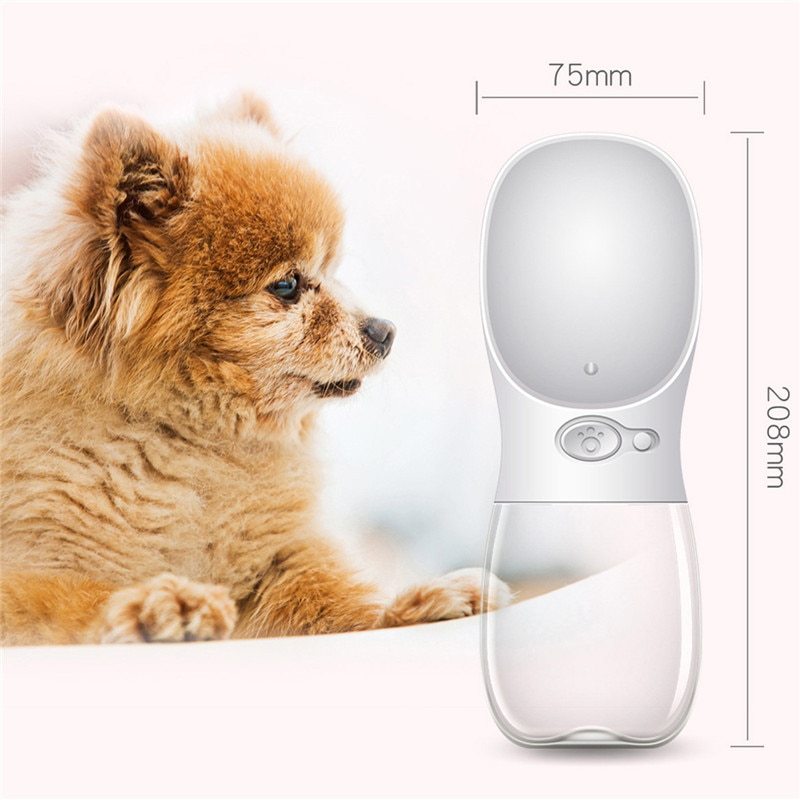 Pet Water Bottle