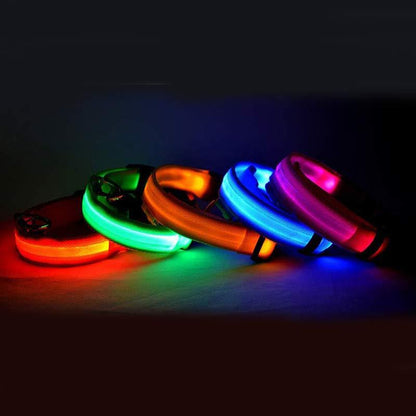 Nylon LED Pet Dog Luminous Collar