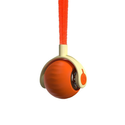 Pet Tug Ball Toy