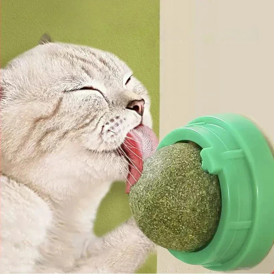 Natural Catnip Scratching Toy